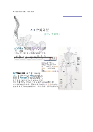 AO骨折分型-脊柱、骨盆部分
