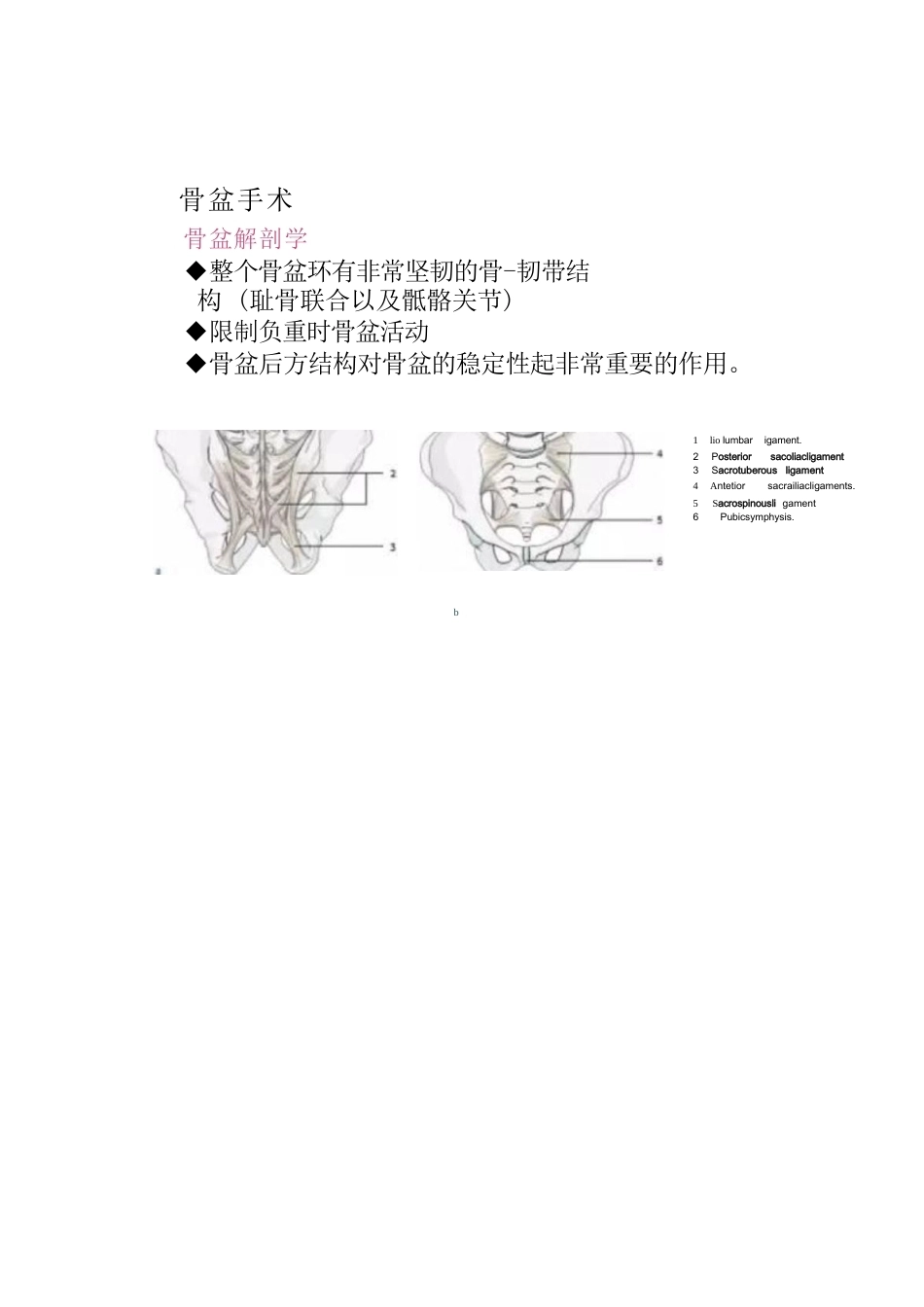 骨盆骨折的分类及治疗_第5页