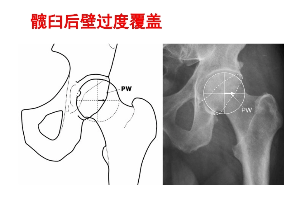 成人影像学_第11页