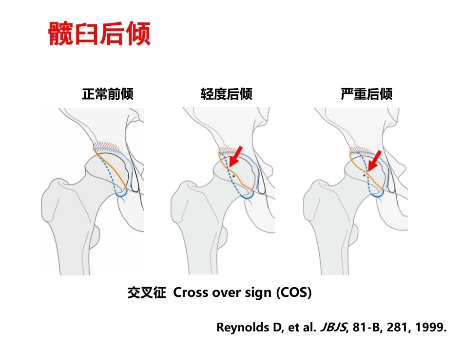 成人影像学_第15页