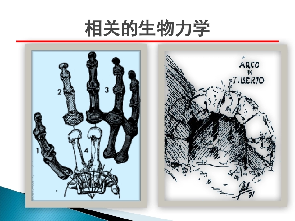 桡骨远端骨折课件_第14页