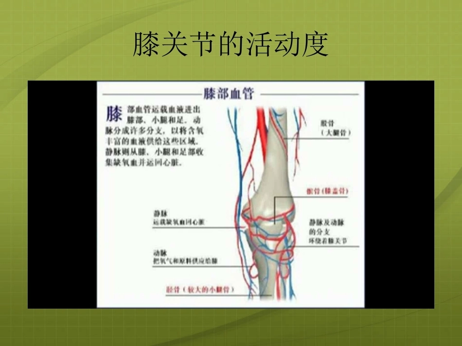 膝关节 针灸治疗_第11页