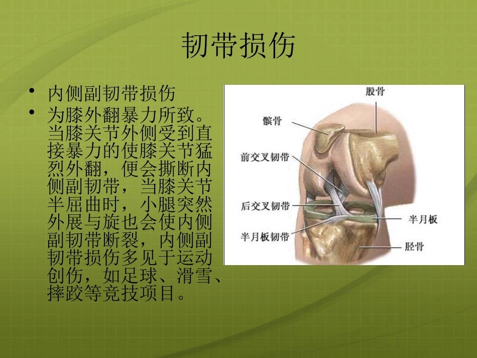 膝关节 针灸治疗_第13页