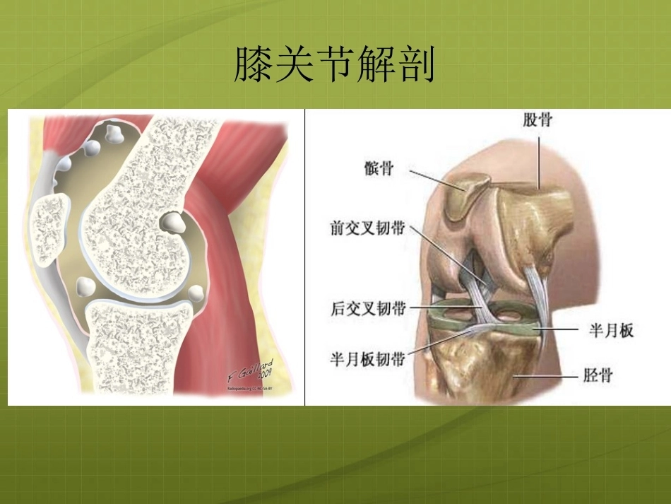 膝关节 针灸治疗_第3页