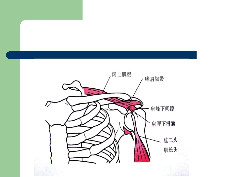 肩峰下撞击综合征_第5页