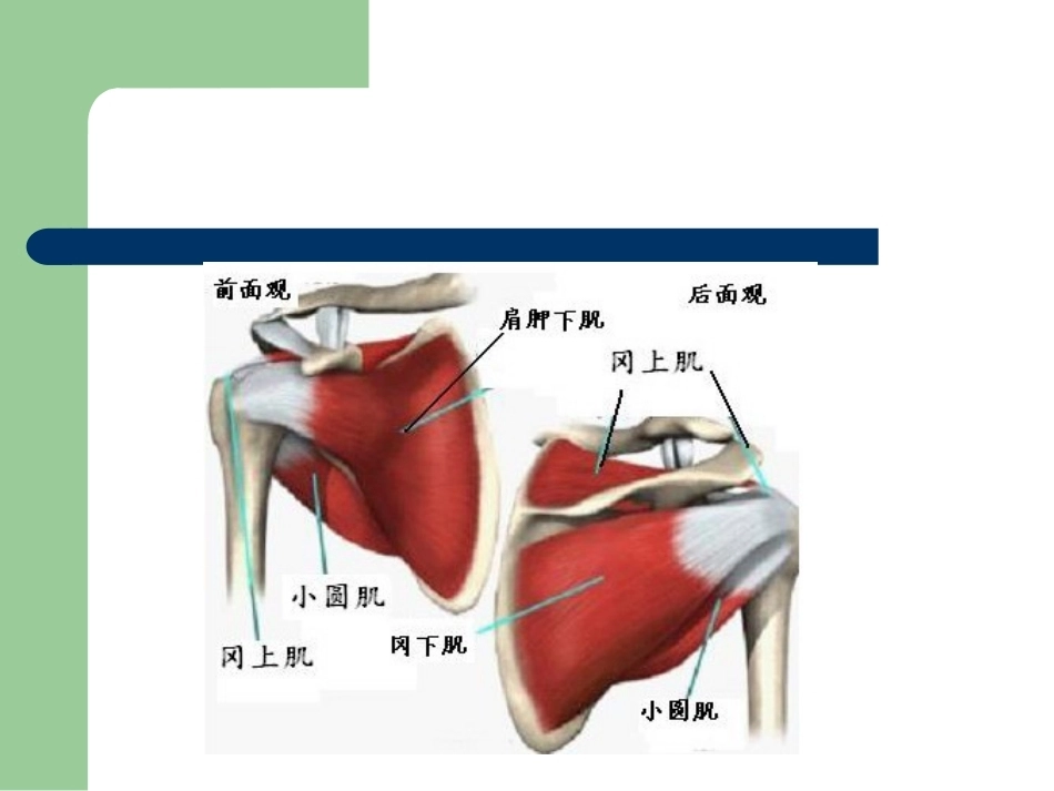肩峰下撞击综合征_第7页