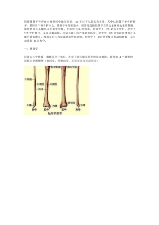 胫腓骨骨折的治疗 方法