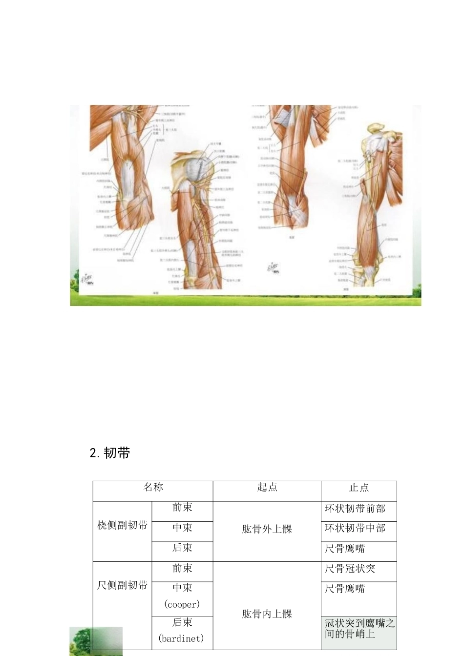 肱骨踝间骨折手 术技巧_第3页