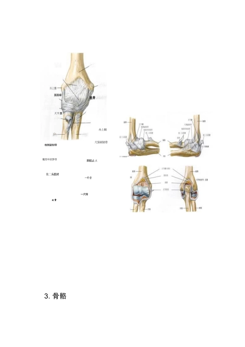 肱骨踝间骨折手 术技巧_第5页