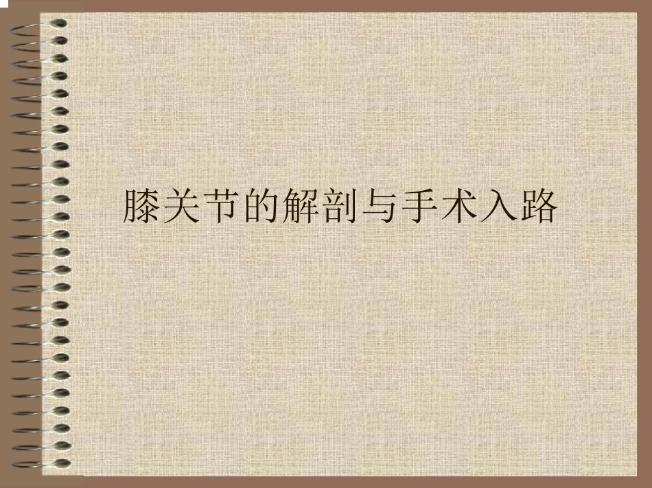 膝关节 的解剖与手术入路_第1页