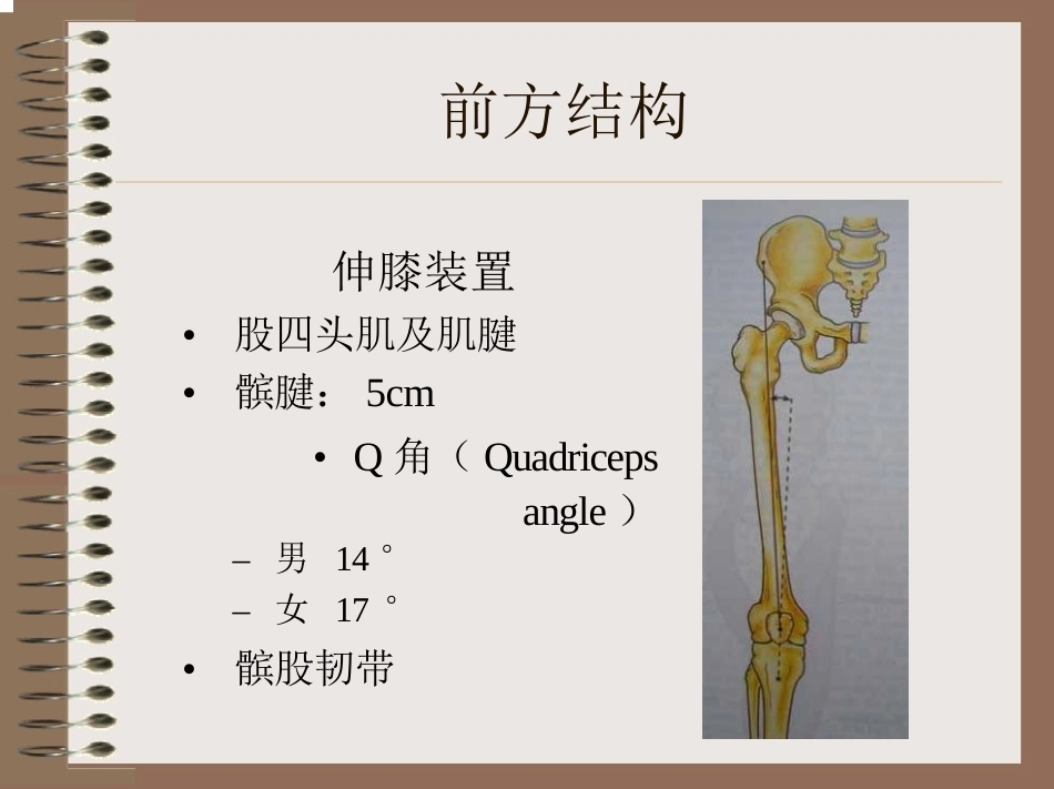 膝关节 的解剖与手术入路_第10页