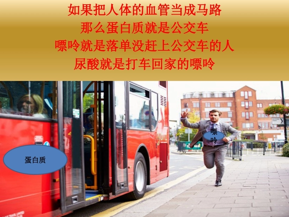 帝王病的治疗_第13页