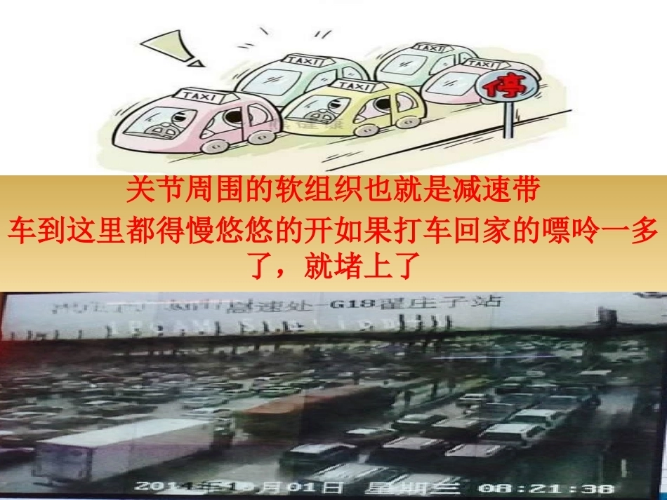 帝王病的治疗_第14页