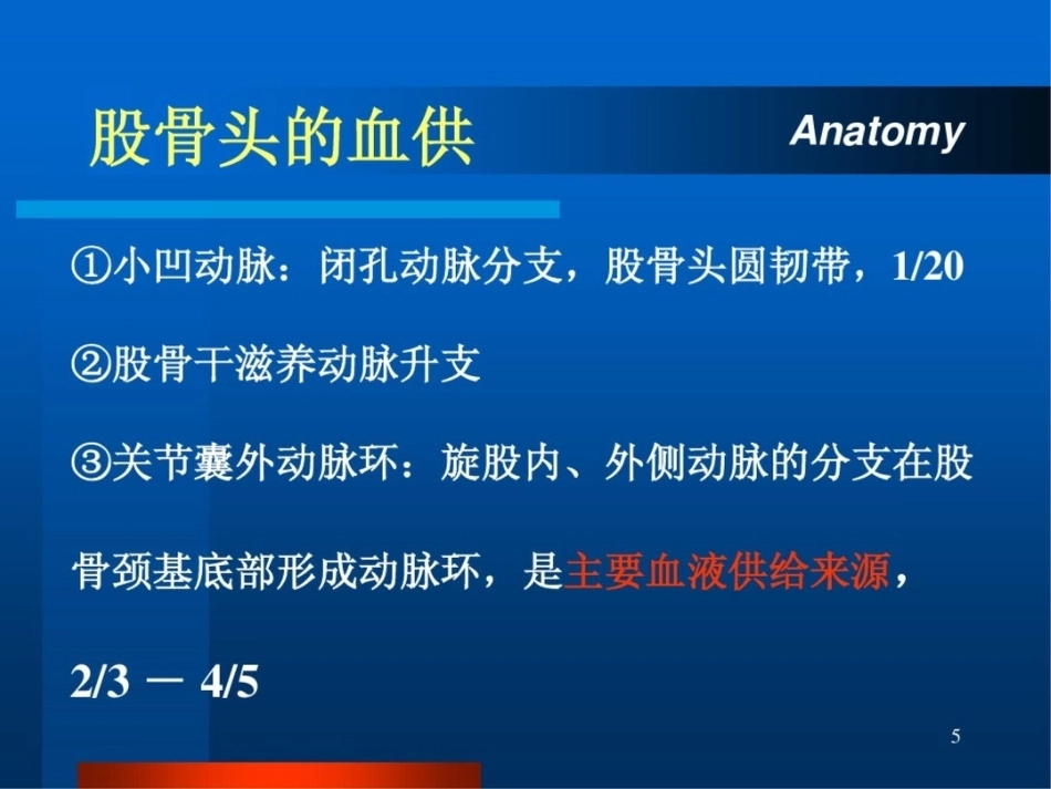 股 骨颈骨折ppt_第5页