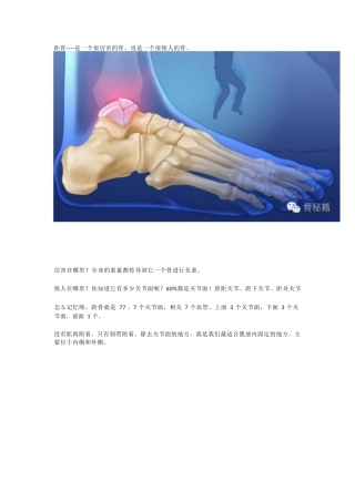 距骨骨折的手术细节 与入路