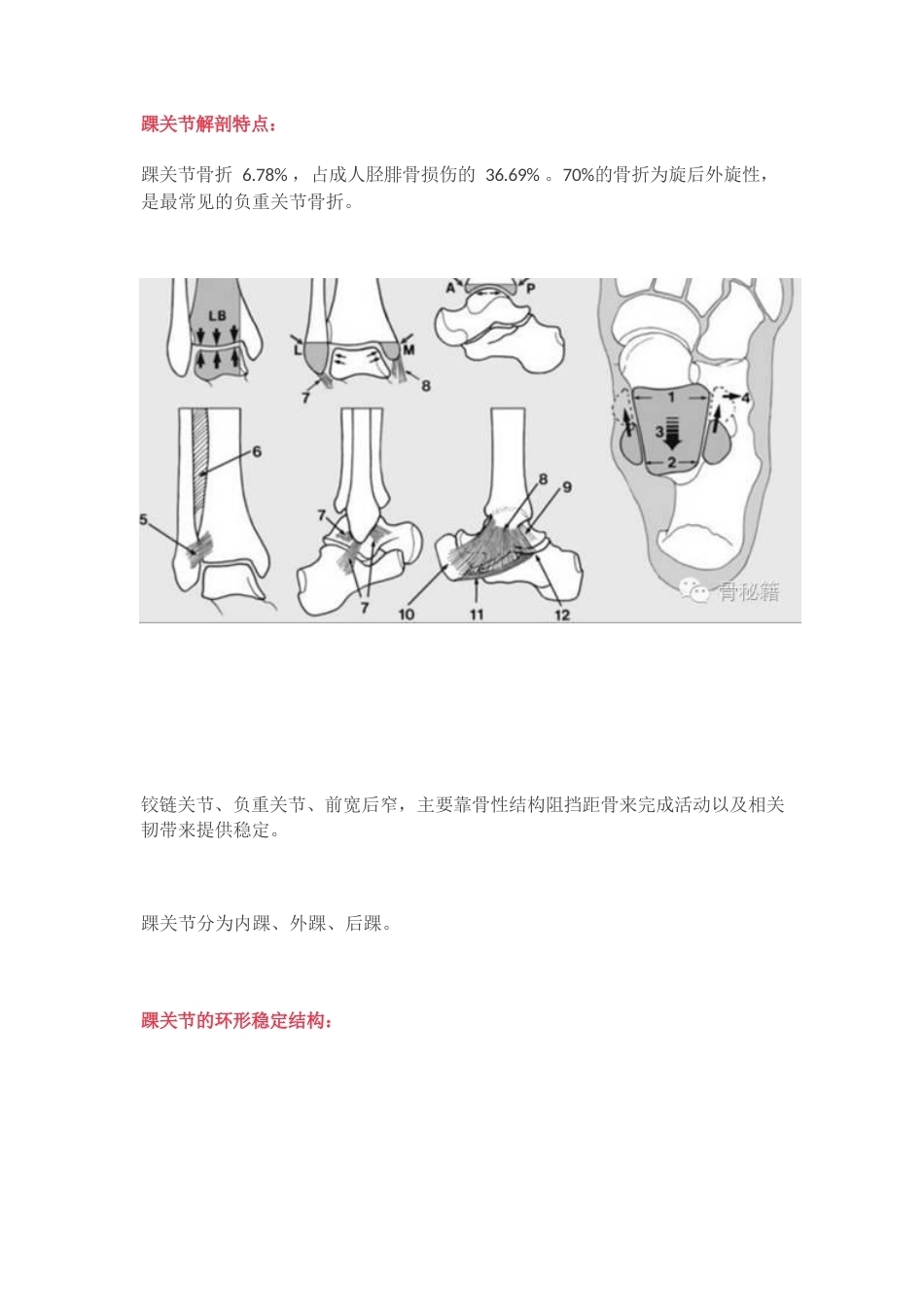 踝关节骨折的治 疗技巧_第1页