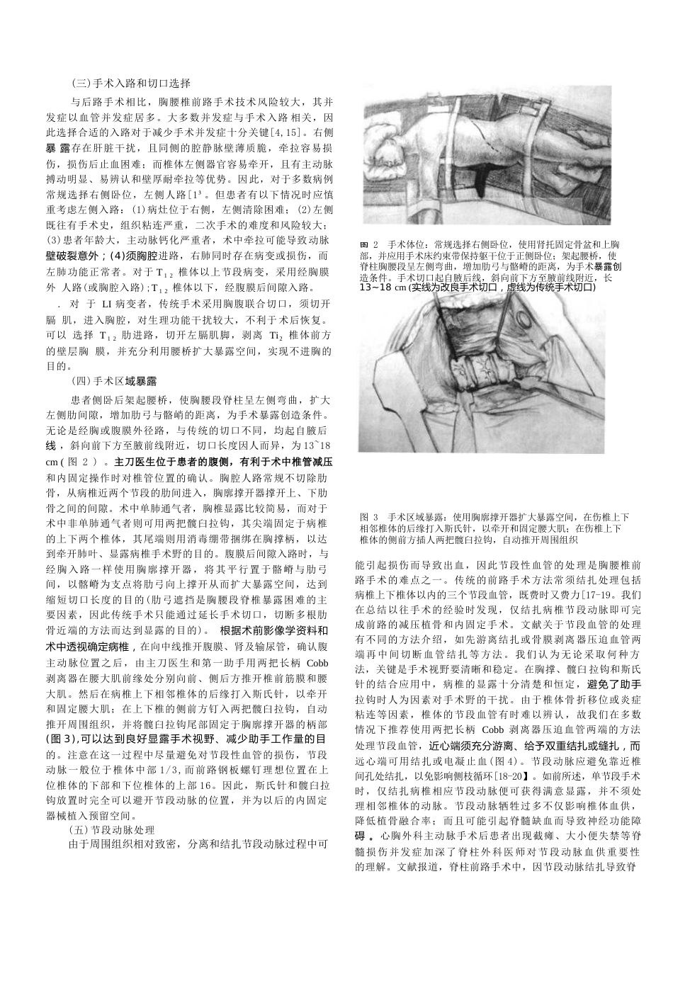 骨科教程：胸腰椎骨 折前路手术技术改良_第2页