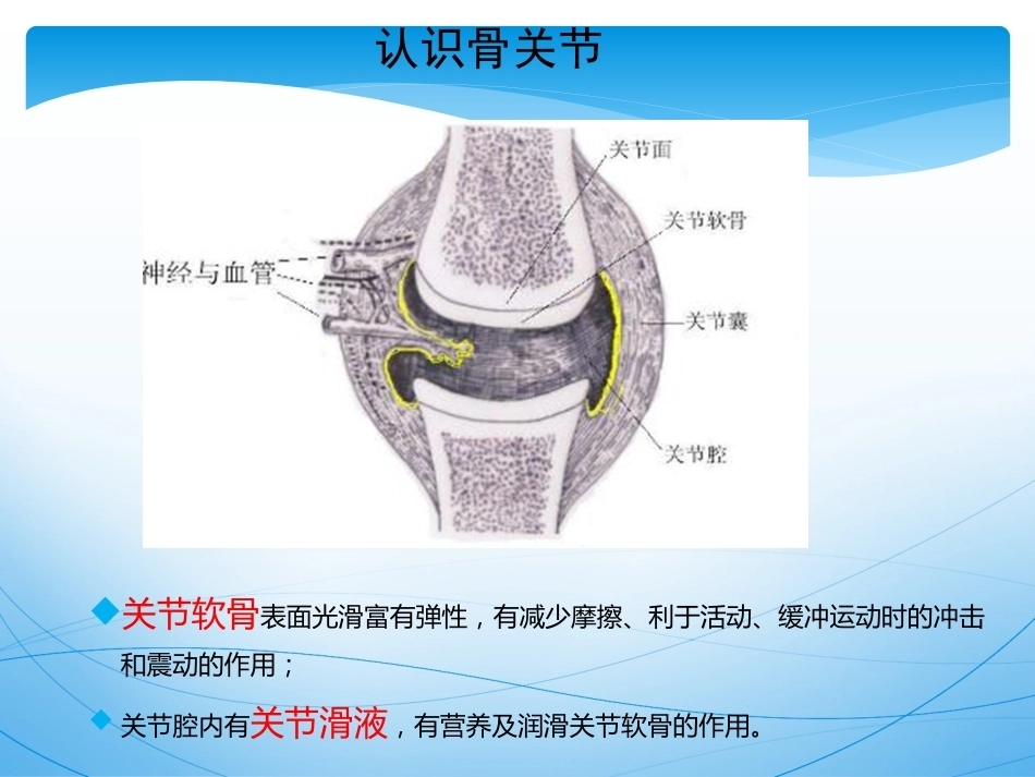 骨关节 炎的诊治_第6页