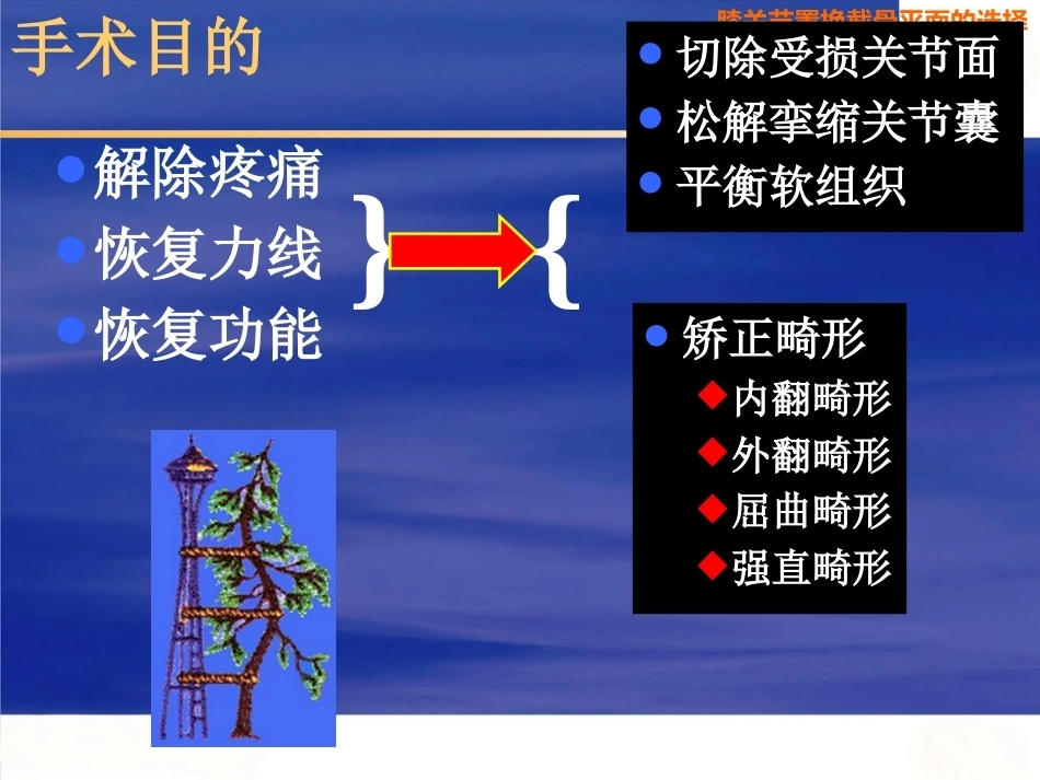 膝关节置换 截骨面的决定_第2页