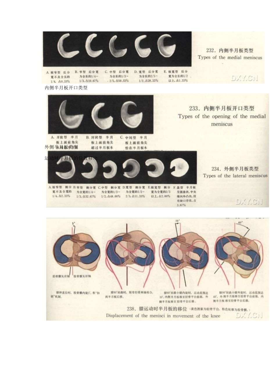 膝关节MRI诊断 之正常解剖_第2页