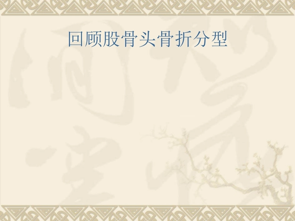 股骨头骨折_第13页