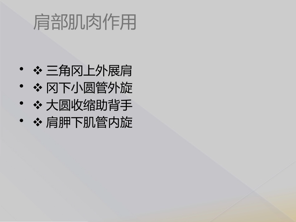 肱骨近端骨折Neer分型_第10页