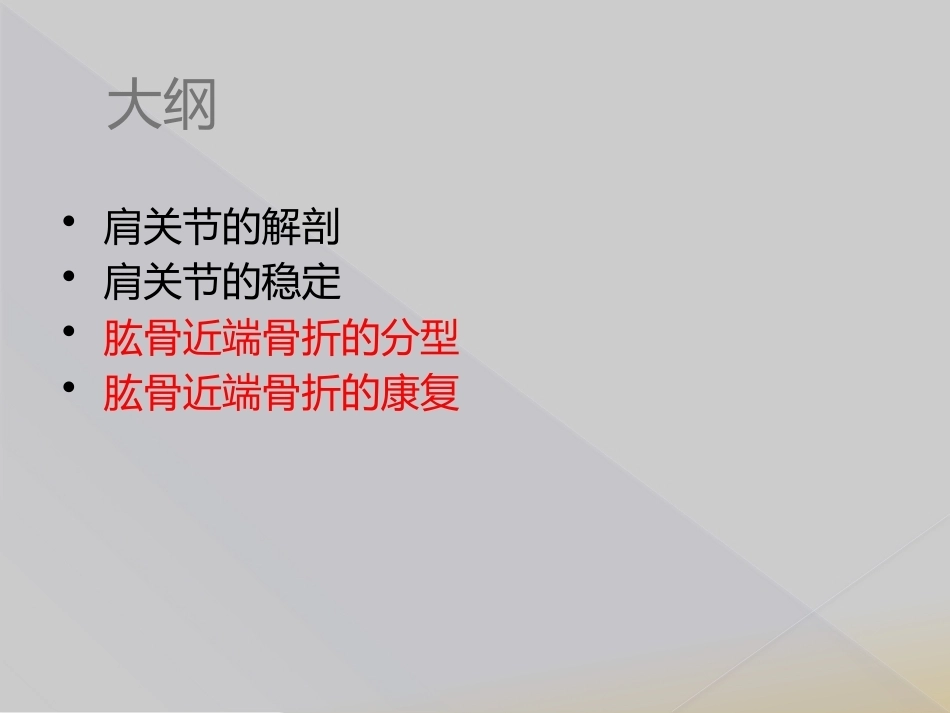 肱骨近端骨折Neer分型_第2页