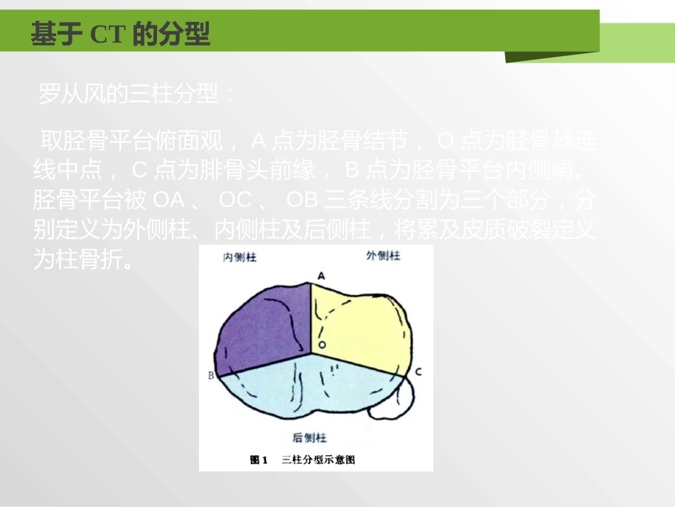 胫骨平台骨折分型_第14页