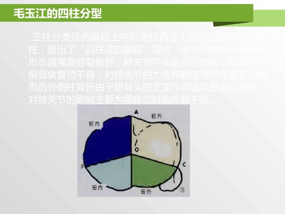 胫骨平台骨折分型_第15页