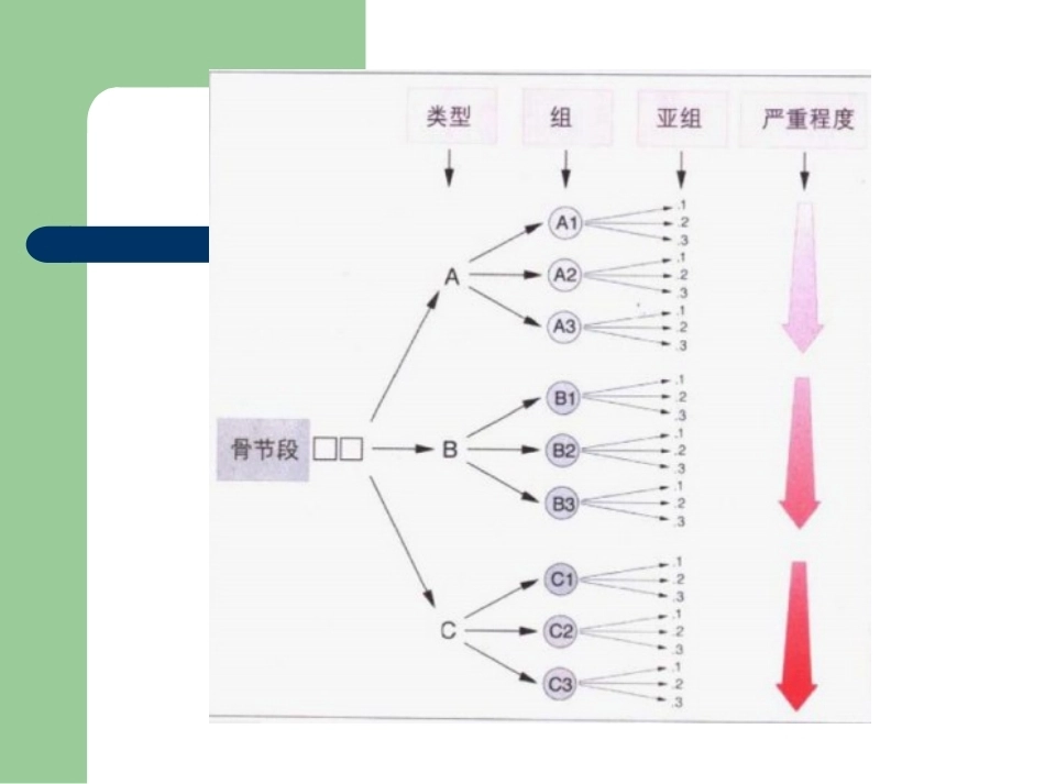 骨折分型_第3页