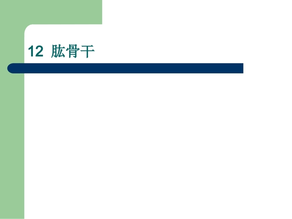 骨折分型_第7页