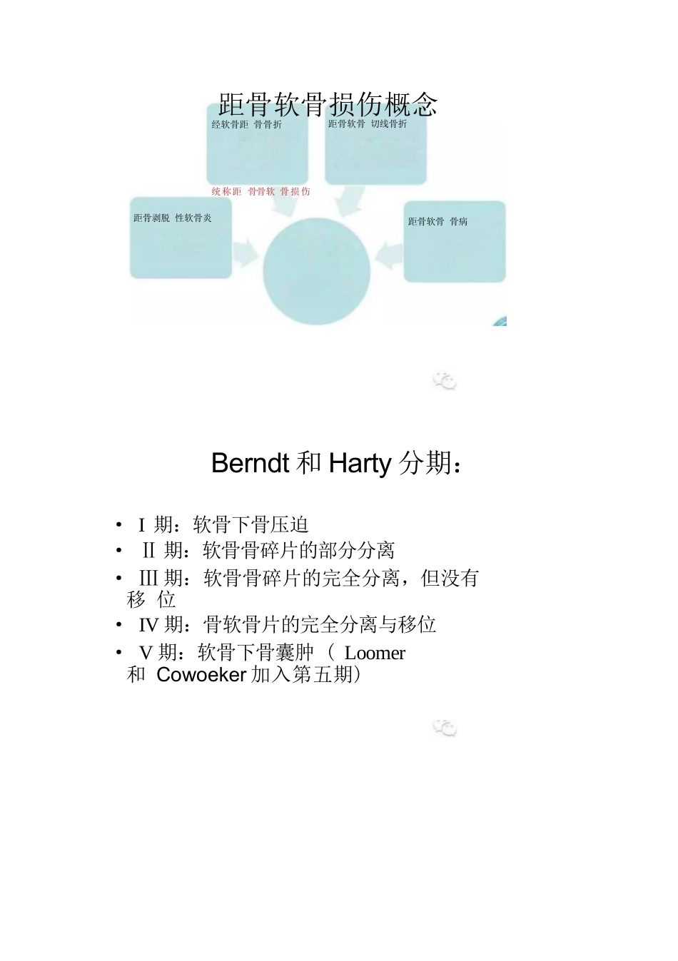 距骨软骨损伤的分期及治疗_第2页