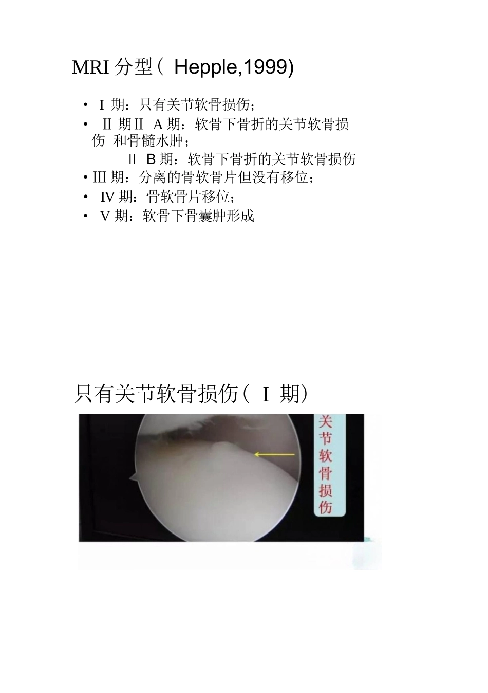 距骨软骨损伤的分期及治疗_第3页