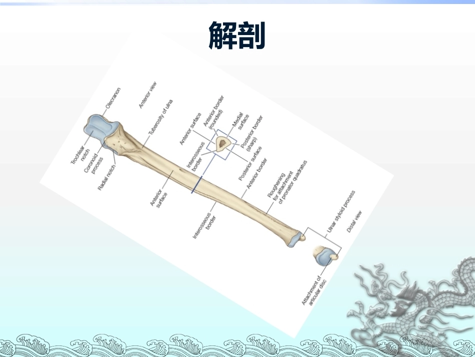 尺骨鹰嘴骨折_第4页