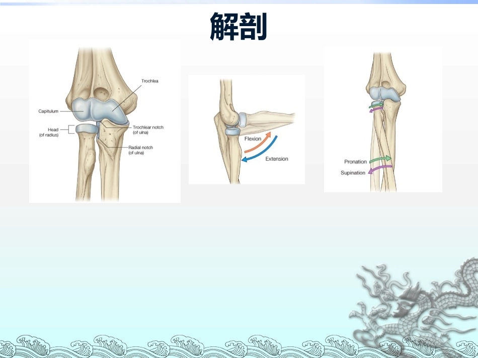 尺骨鹰嘴骨折_第5页