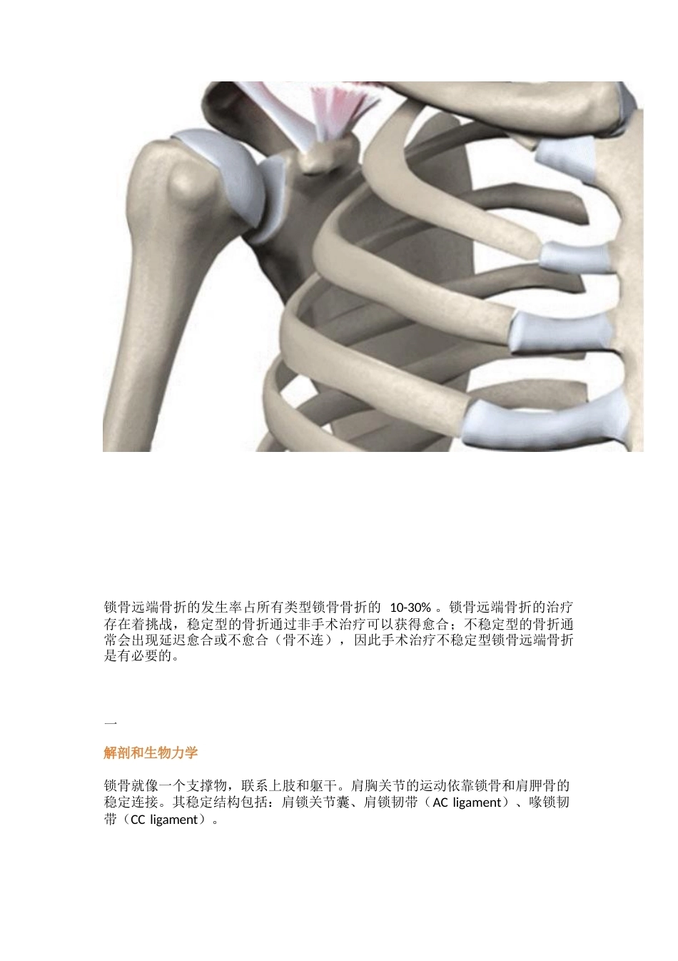 锁骨远端骨折的分型及治疗_第2页
