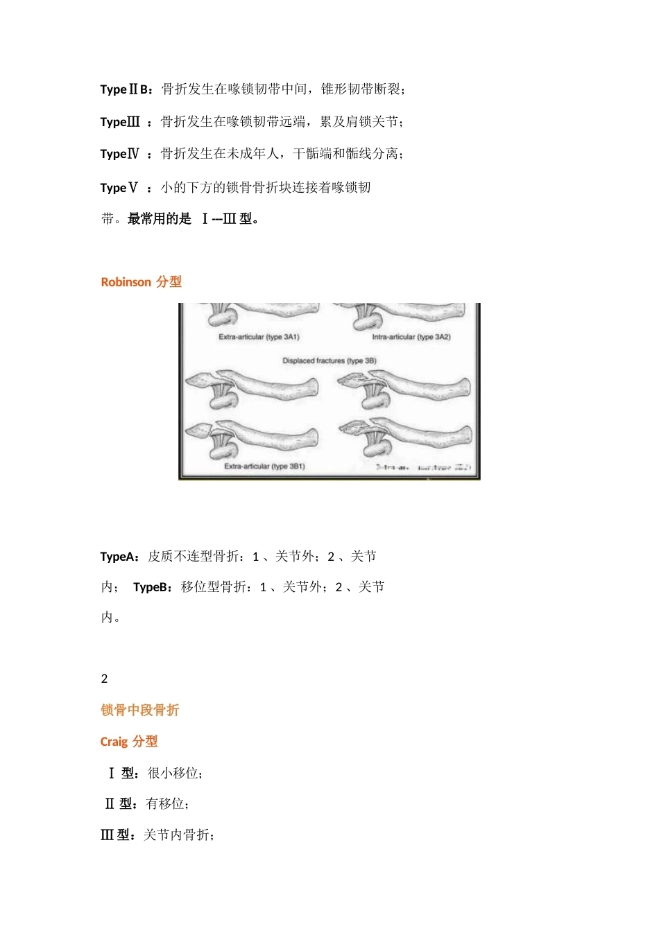 四肢骨折分型大全_第3页