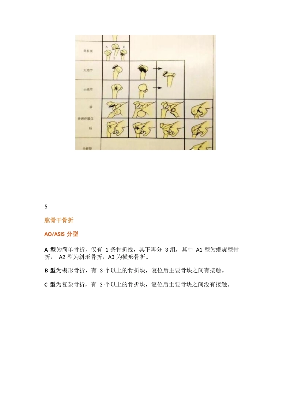 四肢骨折分型大全_第5页