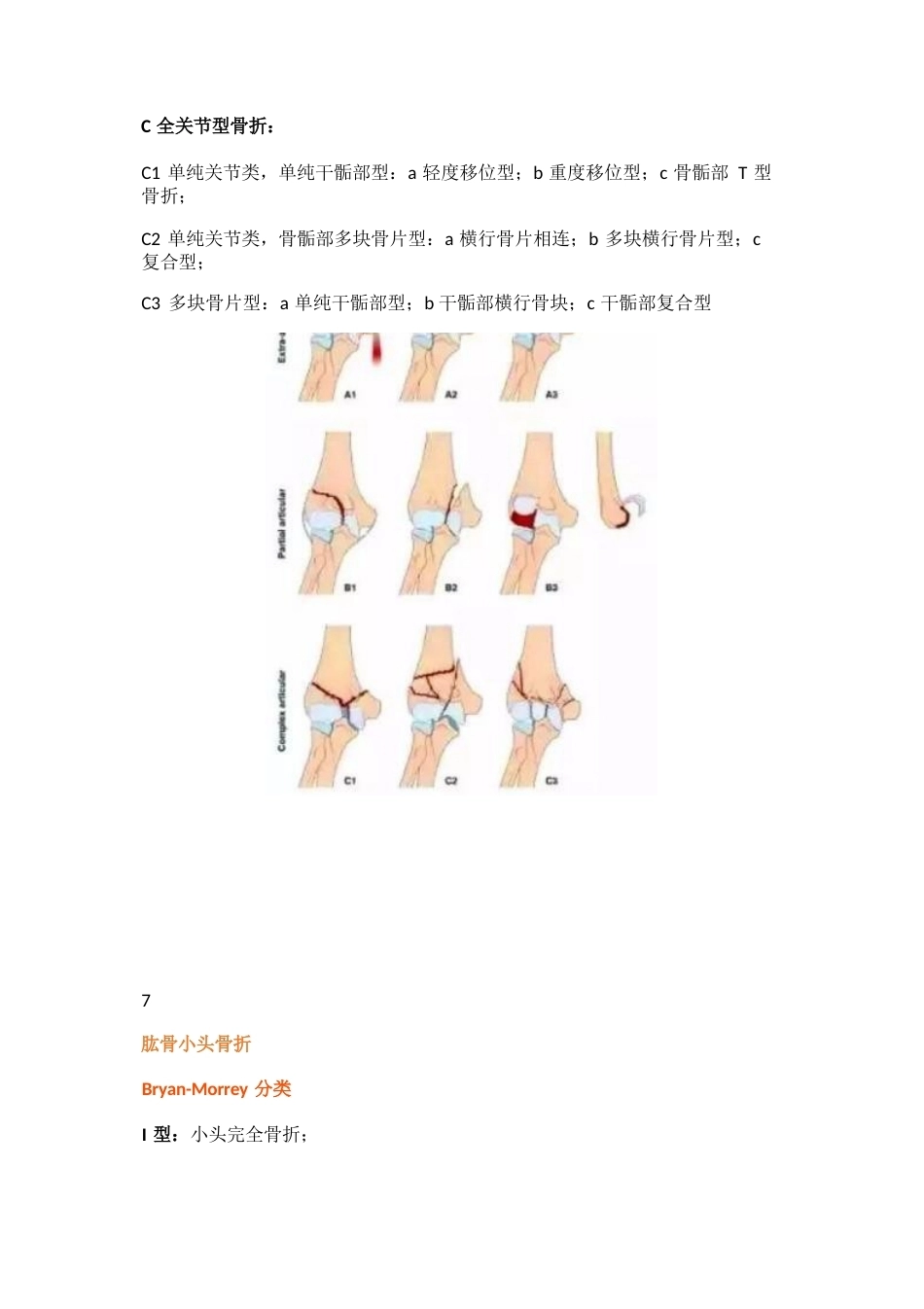 四肢骨折分型大全_第7页