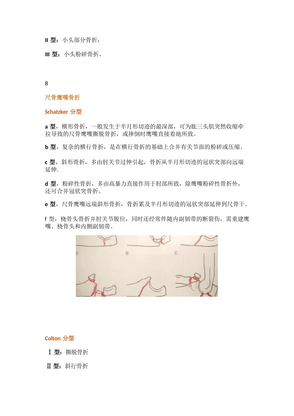 四肢骨折分型大全_第8页