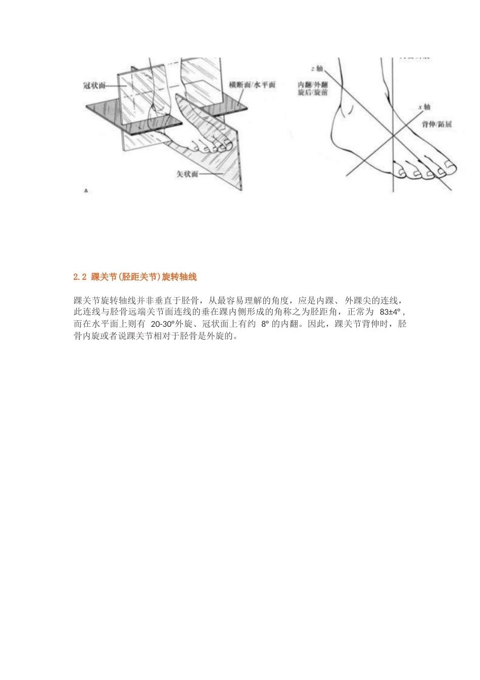 踝关节骨折的Lauge-Hansen分型_第2页