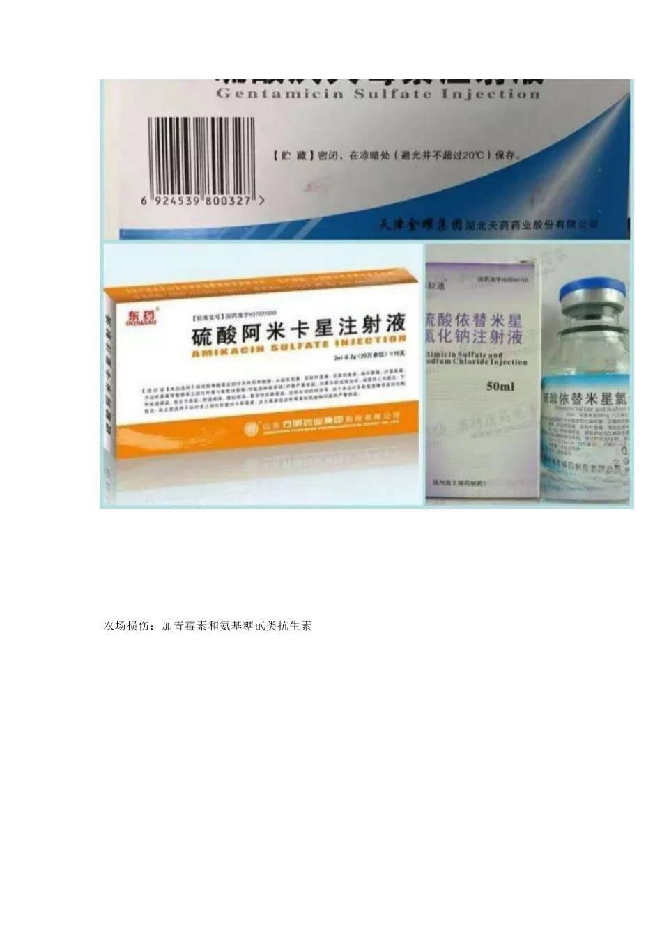 开放性骨折的治 疗原则_第12页