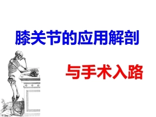 膝关节周围解剖与手术 入路