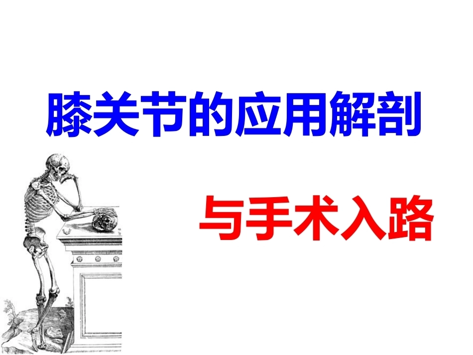膝关节周围解剖与手术 入路_第1页