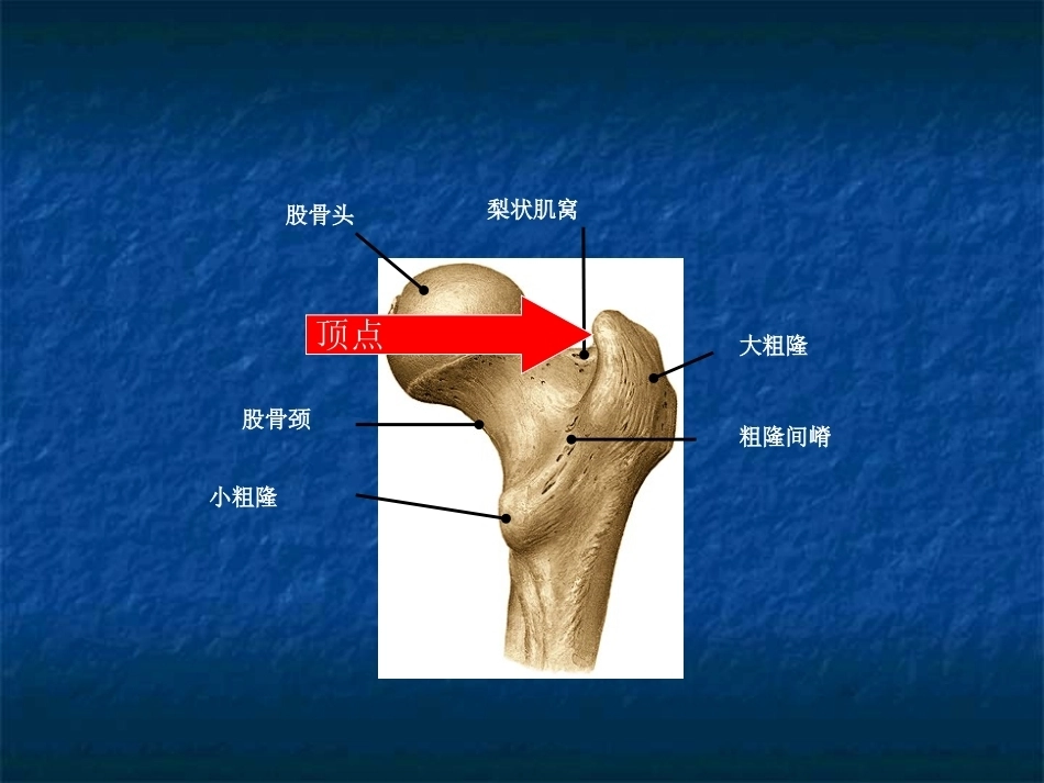股骨转子间骨折的分型、治疗_第3页