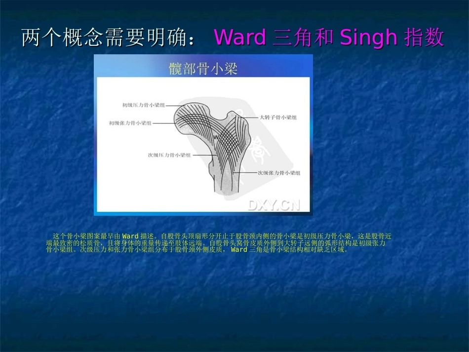 股骨转子间骨折的分型、治疗_第5页