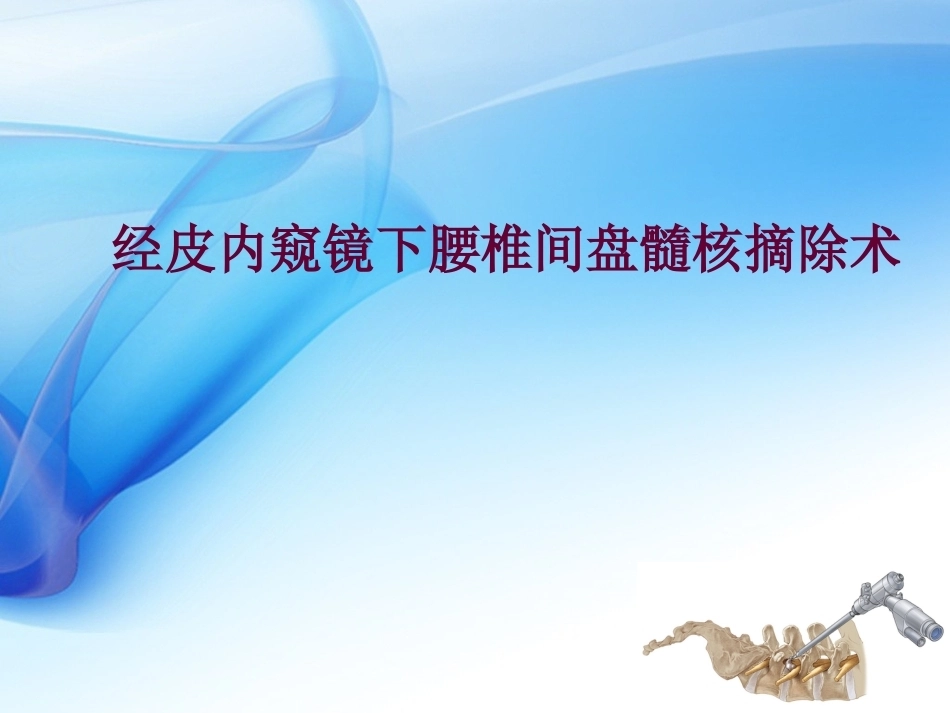 椎间孔镜 技术_第1页