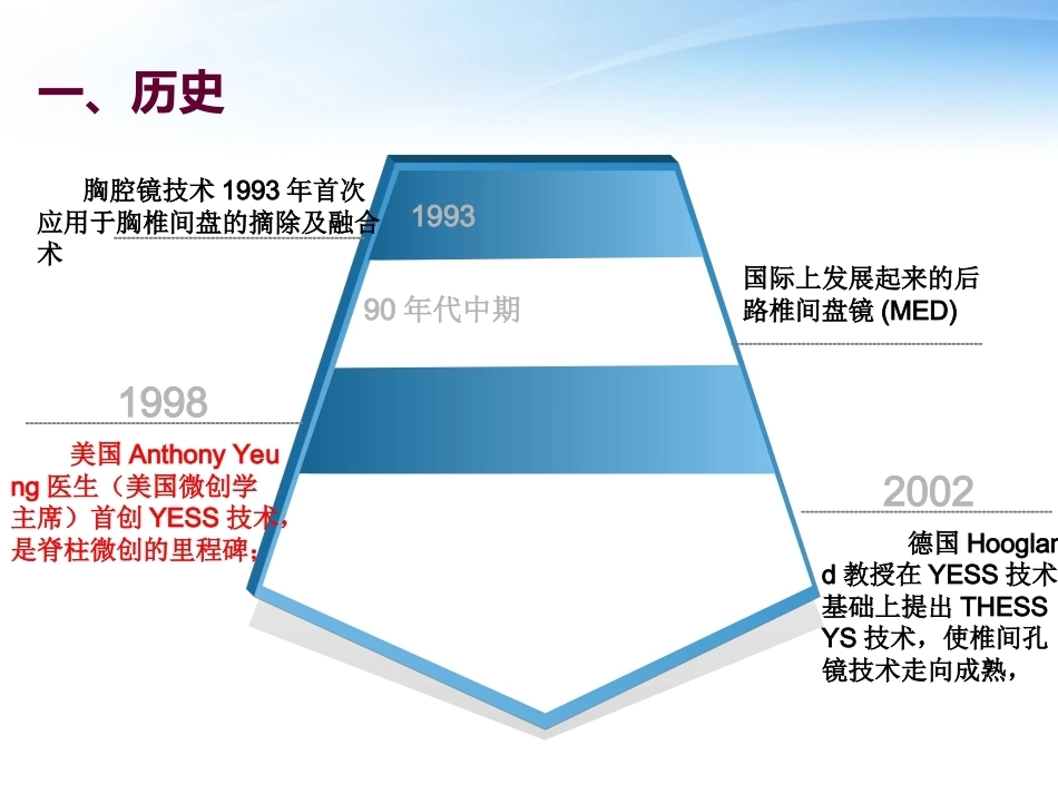 椎间孔镜 技术_第2页
