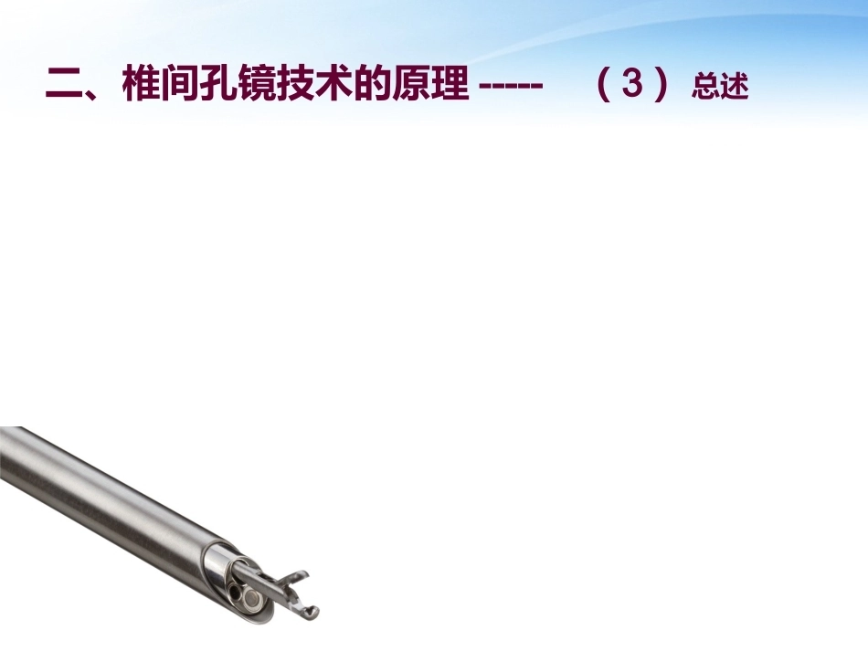 椎间孔镜 技术_第9页
