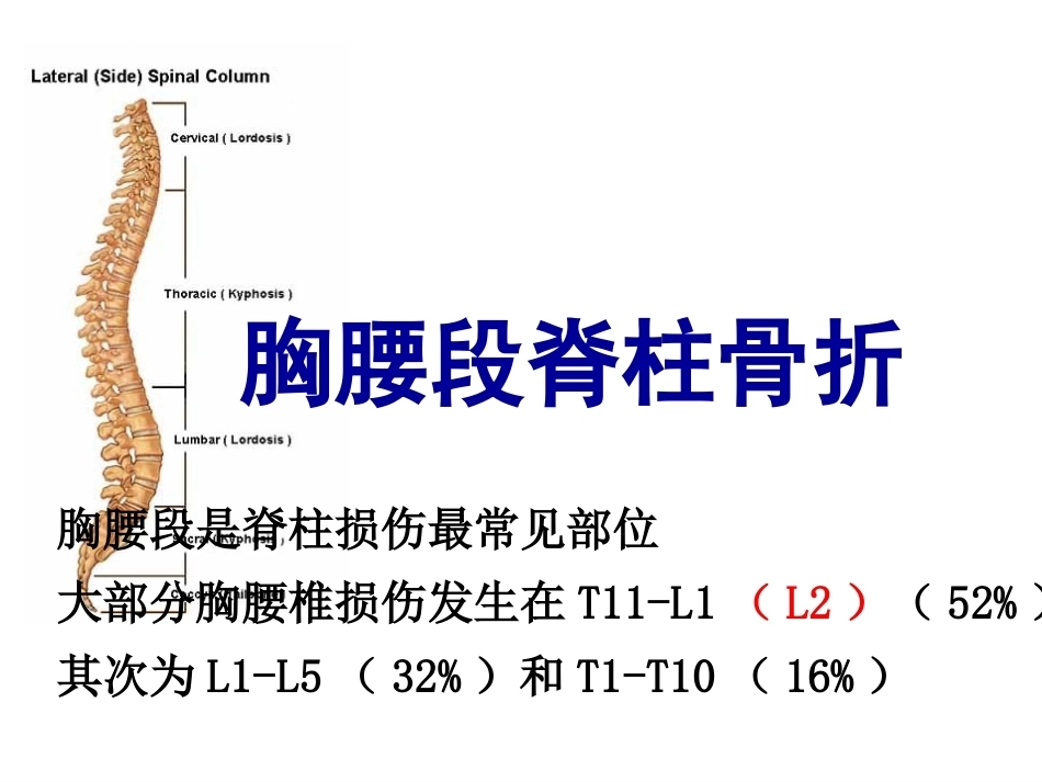 胸腰段脊柱骨折内固 定范围的选择_第2页